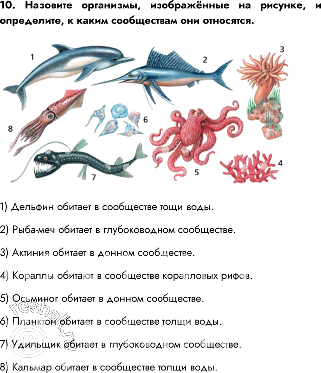 Дополнительное изображение
