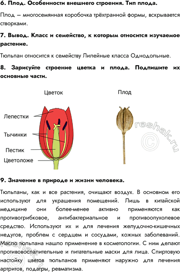 Дополнительное изображение