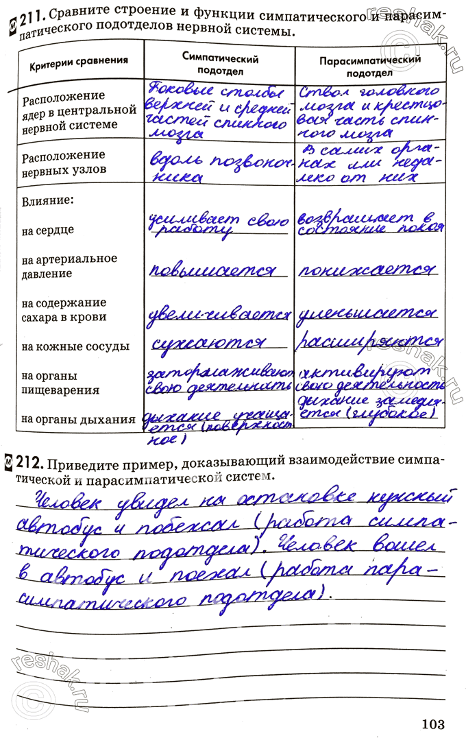 Изображение 121. Сравните строение и функции симпатического и парасимпатического подотделов нервной системы.Критерии сравнения	Симпатический подотдел	Парасимпатический...