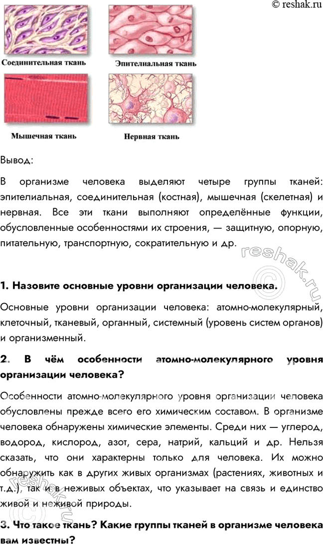 Дополнительное изображение