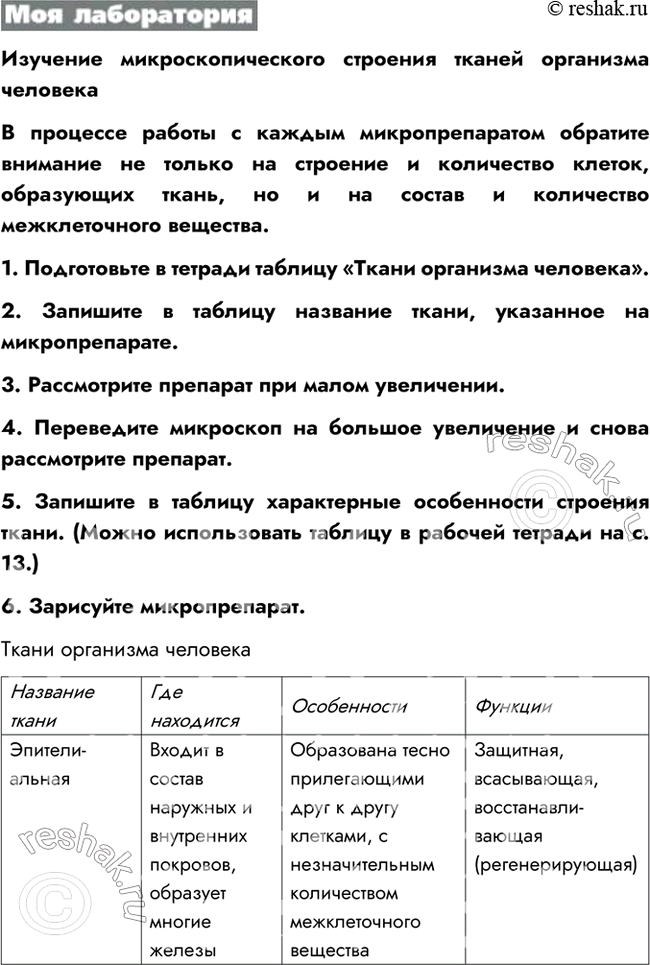 Дополнительное изображение